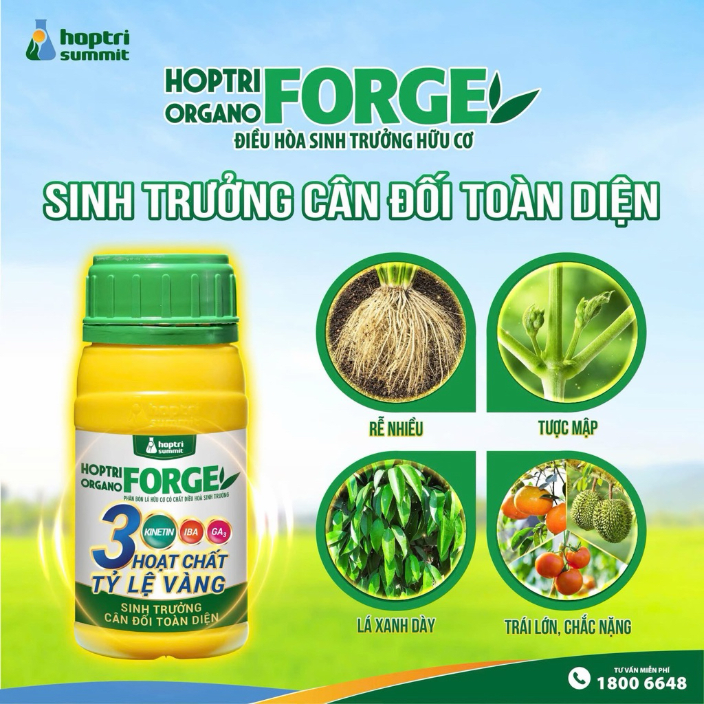 ORGANO FORGE