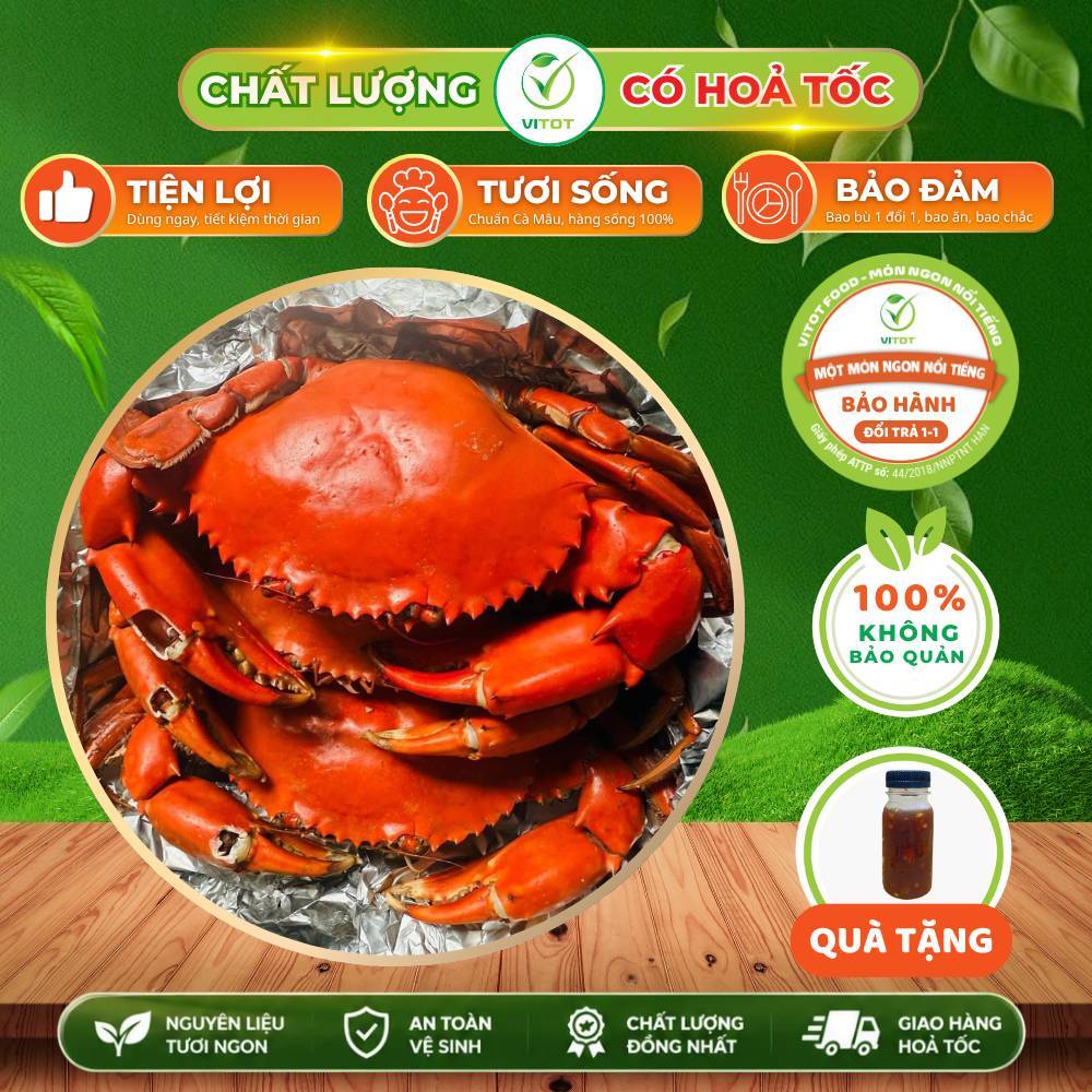 Cua Cà Mau Năm Căn VITOT Dây Không Thấm NướcThịt Chắc Gạch Thơm Bảo Hành 1 Đổi 1