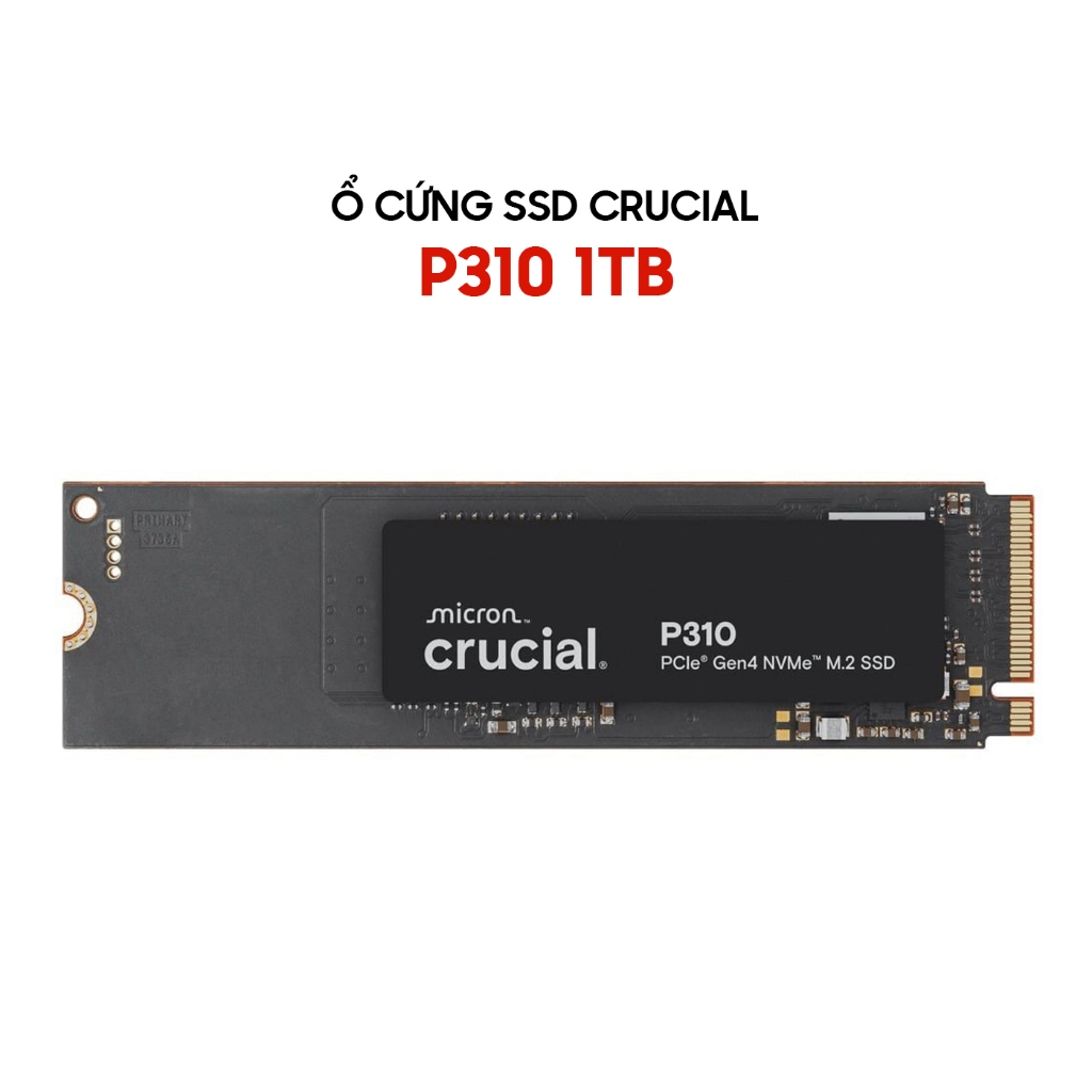 Ổ cứng SSD Crucial P310 CT1000P310SSD8 1TB / CT500P310SSD8 500GB PCIe Gen4 NVMe M.2 2280