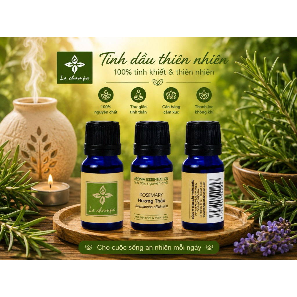 Tinh Dầu Hương Thảo Lachampa (Rosemary Oil)