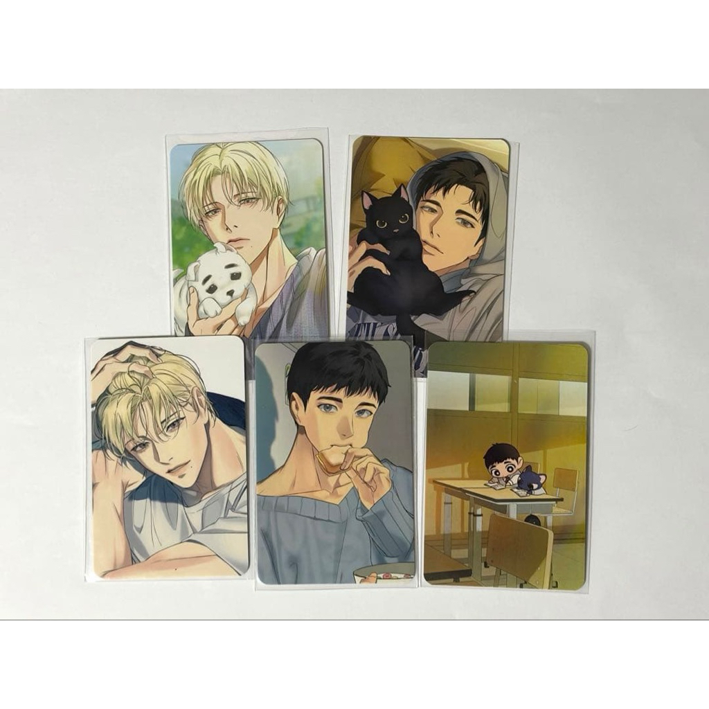 [Official] CARD Seoin PACK BACK LIGHT BACKLIGHT