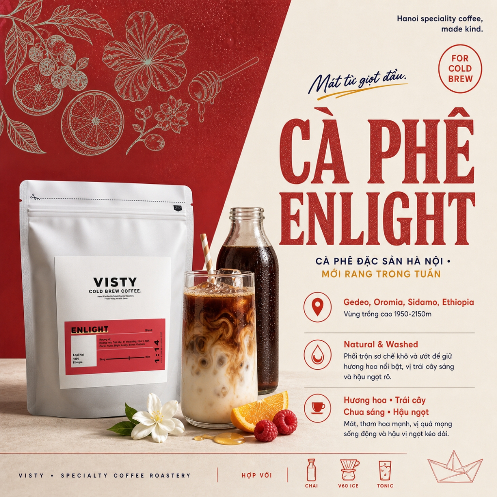 Cà phê Cold Brew Arabica hương hoa Blend Enlight Visty