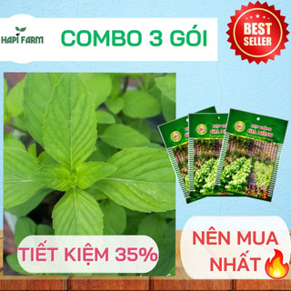 Hạt Giống Rau Húng Cây, Rất Thơm, Ăn Bún, Phở, Cuốn Đều Tuyệt, dễ trồng chậu TR25
