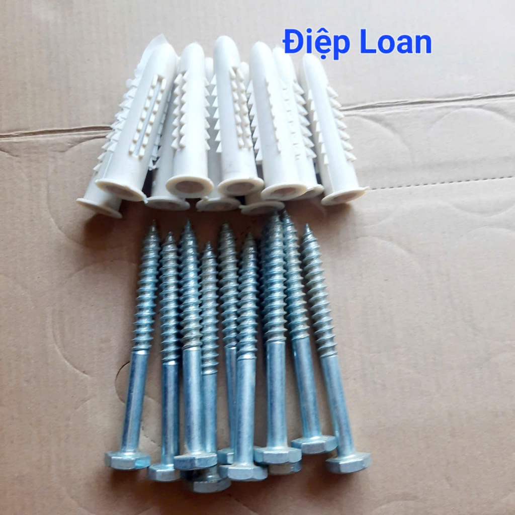 Combo 10 con vít đầu lục giác phi 10 dài 10cm kèm nở nhựa