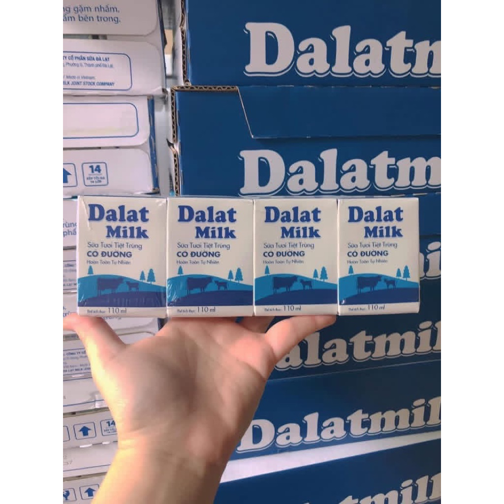 thùng sữa Dalatmik 48h *110ml date T9