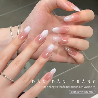 [Annies] Sơn gel thạch gạo cao cấp | Thạch Gạo Đậm và Nhạt - an an nails