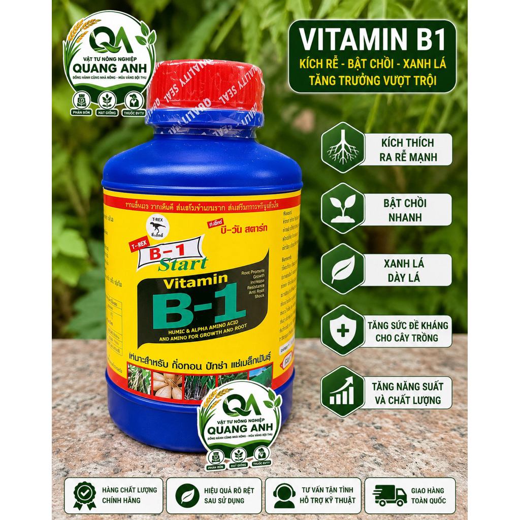 Vitamin B1 Kích Rễ Cho Cây Trồng | Phân Bón B1 Kích Mầm, Ra Rễ Mạnh, Xanh Lá, Phục Hồi Cây Nhanh