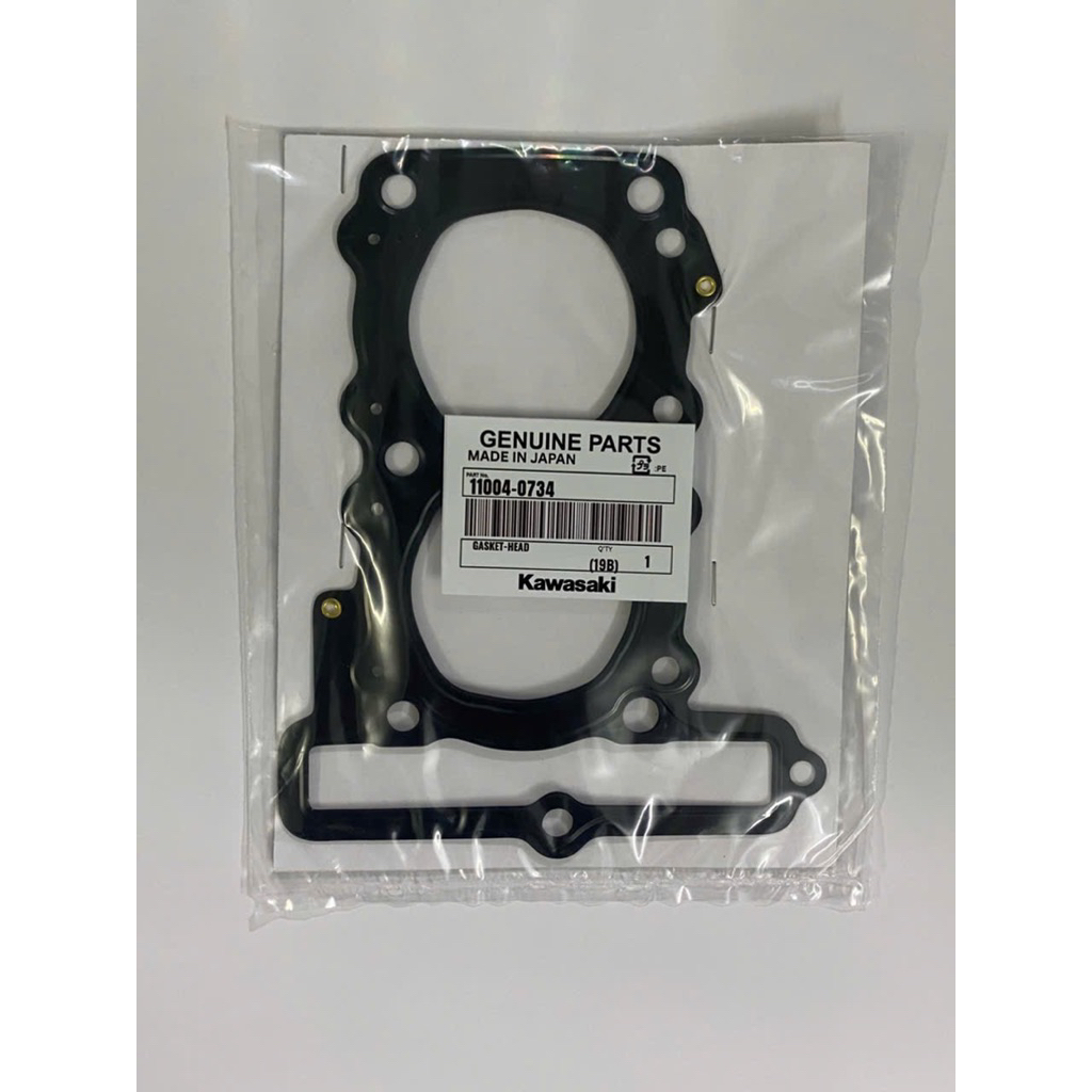Zoăng ron máy kawasaki ninja300 Z300 veréys300 / Zoăng máy ninja300_Z300 versys300