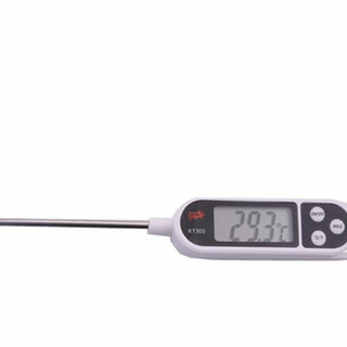 Nhiệt kế điện tử đo độ chất lỏng KT300