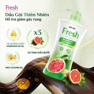 Dầu Gội FRESH Thiên Nhiên Giúp Tóc Chắc Khỏe Mềm Mượt 650g/chai