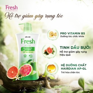 Dầu Gội FRESH Thiên Nhiên Giúp Tóc Chắc Khỏe Mềm Mượt 650g/chai