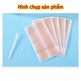 Hộp dán mí lưới kích mí (120 cặp)