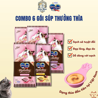 [COMBO 6 GÓI] Súp Thưởng Cho Mèo Silver Spoon Dạng Thìa 5 Hương Vị đa dạng (40g/gói)