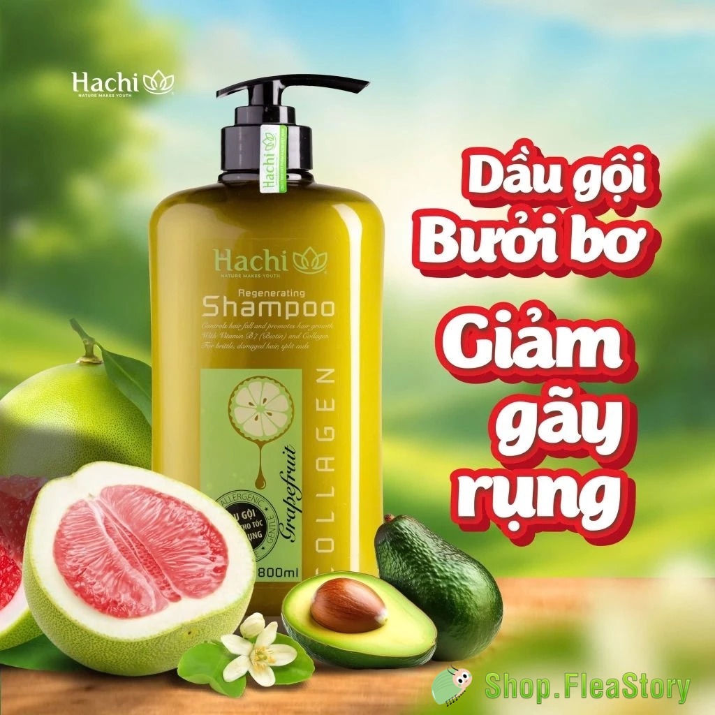 Dầu Gội Xả Trị Gãy Rụng - Cặp Dầu Gội Xả Hachi Bơ Bưởi - Hàng Việt Nam - Chiết Xuất Tự Nhiên