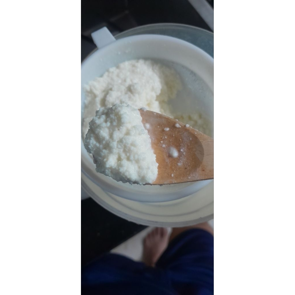 Nấm sữa kefir 5g ( nấm làm sữa chua từ con nấm kefir)