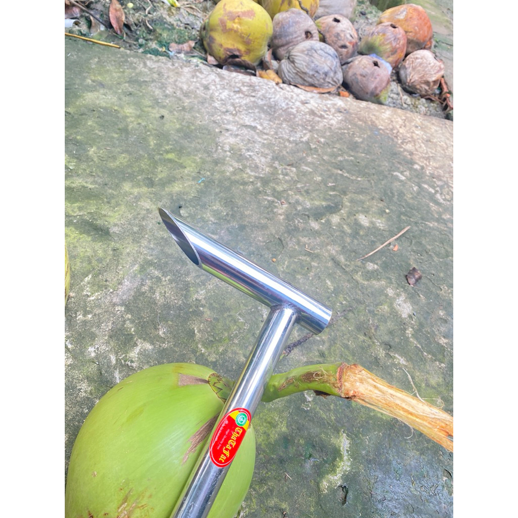 búa đục dừa Búa Khui Dừa (400g) 1ly 2