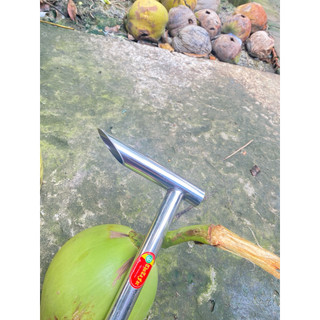 búa đục dừa Búa Khui Dừa (400g) 1ly 2