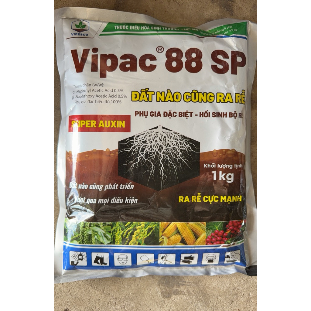 Vinpac 88 sp - super Auxin - Hồi sinh bộ rễ - Ra rễ cực mạnh