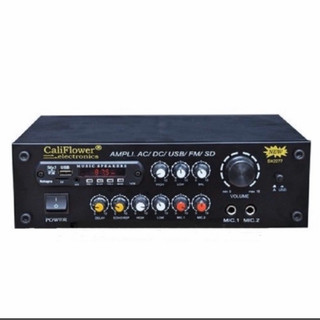 Amply ste usb BT