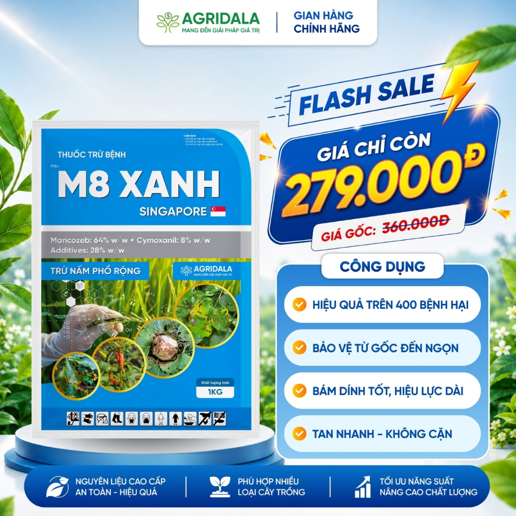 Trừ bệnh M8 Xanh Singapore 72WP - Phòng Ngừa Trừ Nấm Bệnh Mạnh Mẽ, Hiệu Quả trên 400 Loại Bệnh Hại