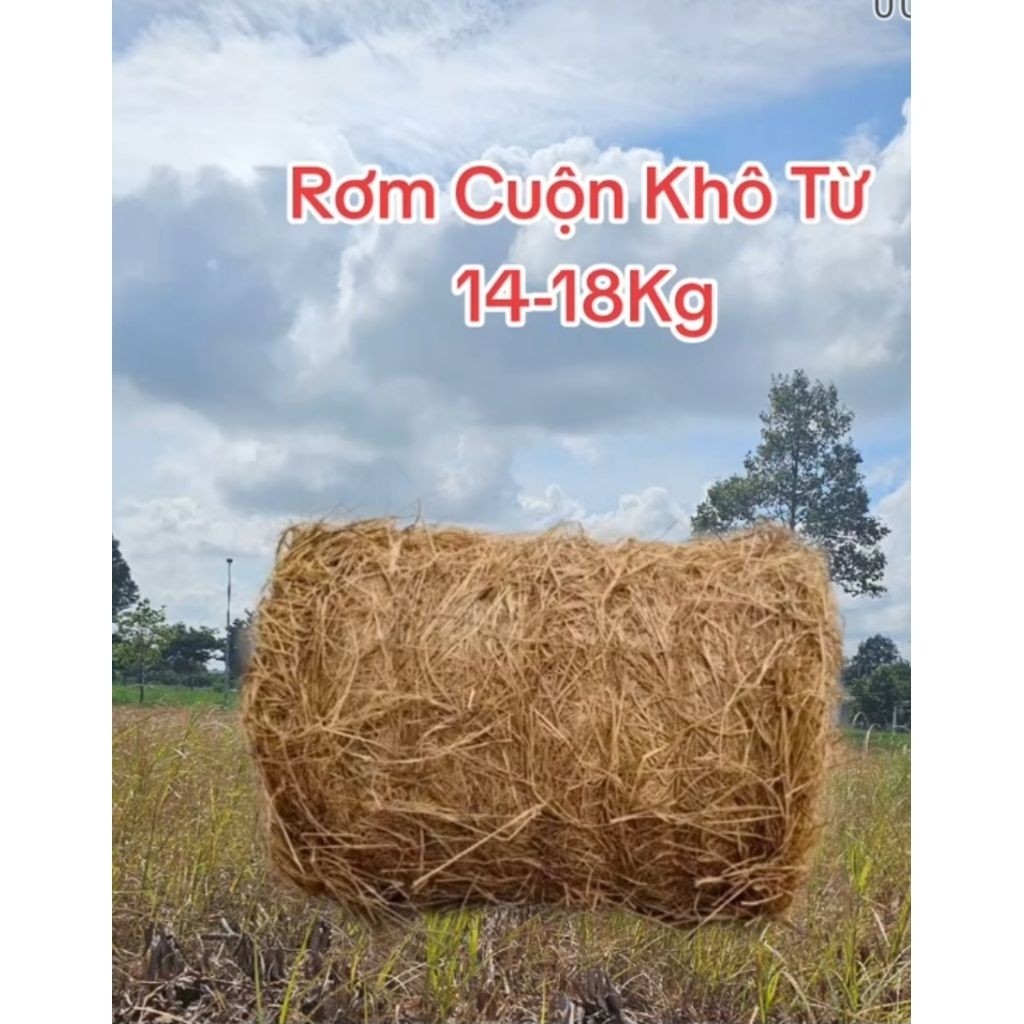 1 Cuộn Rơm Khô / Rơm cho bò ăn  ( 14 _ 18 Ký)