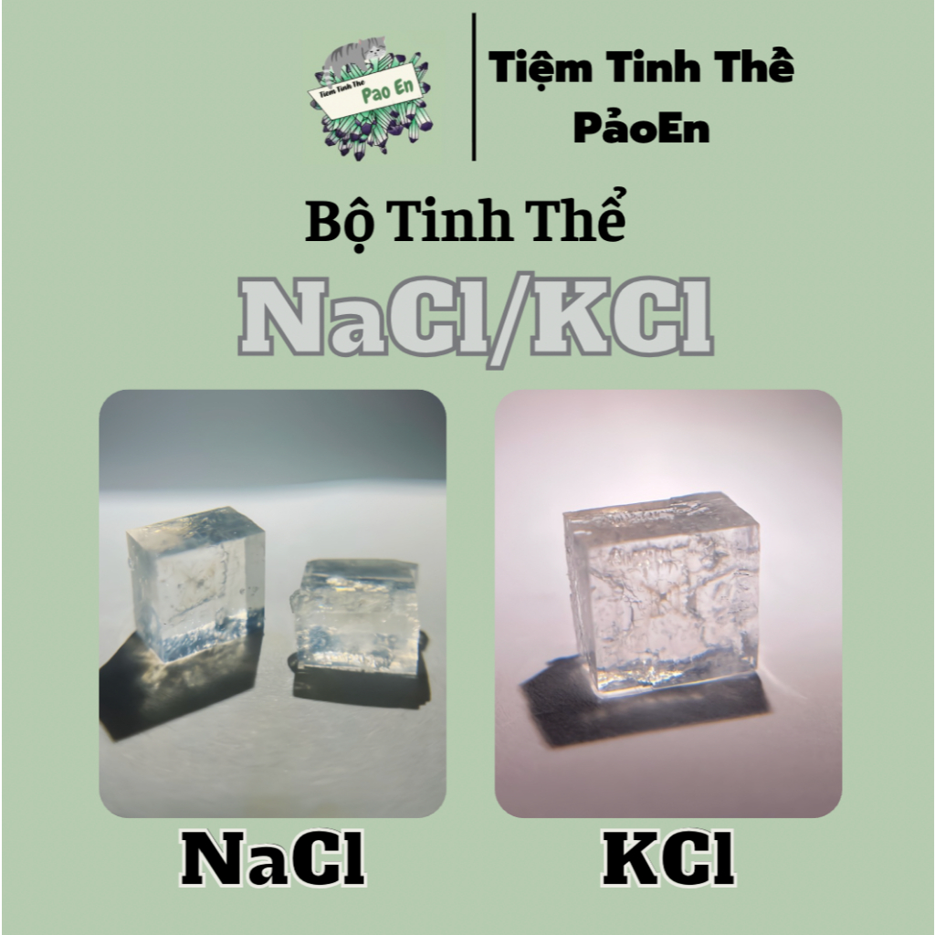 [NaCl/KCl] Bộ dụng cụ nuôi tinh thể NaCl hoặc KCl ( Có giấy hướng dẫn )