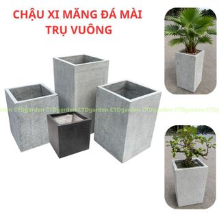 Chậu Trồng Cây Xi Măng - Vuông Cao - Chậu Đá Mài Chống Thấm- Có Lỗ Đáy