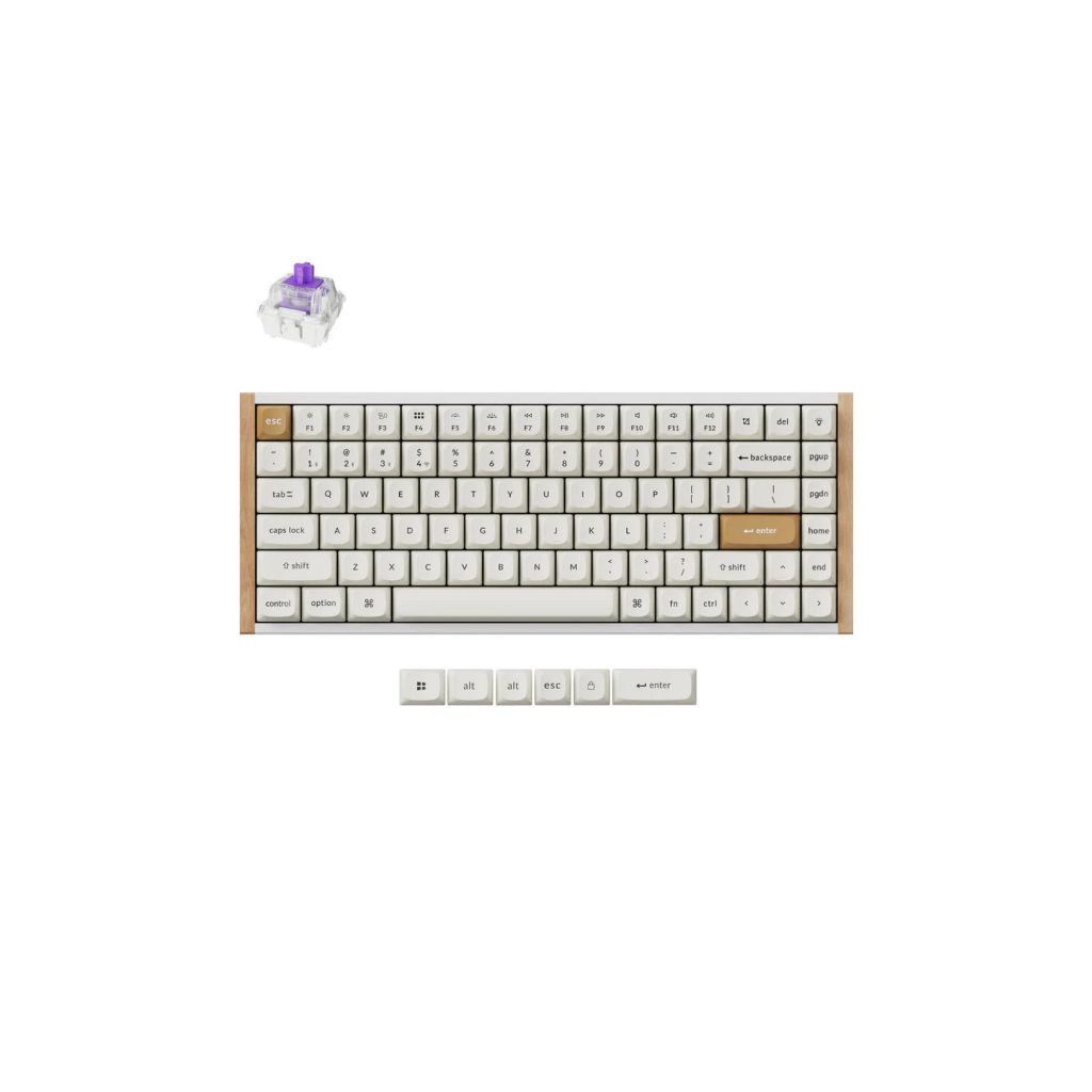 Bàn phím cơ Keychron K2 HE Special Edition Chính Hãng [Hoả tốc] | BigBuy360 - bigbuy360.vn