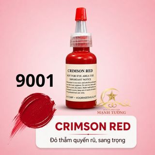 mục phun xăm  mý nhựa chính hãng 15ml