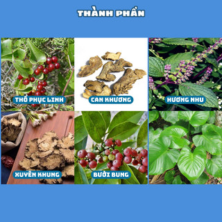 Thảo dược ngâm chân Đại Phú An, hỗ trợ giảm đau, khó ngủ, khó vận động, đau cứng cơ-Thảo mộc tự nhiên, thư giãn- 40 gói