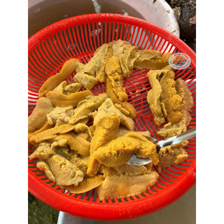 GẠCH NHUM SỌ VÀNG BIỂN NHA TRANG ( Khay 500gram)