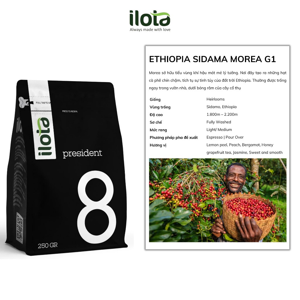 Cà phê Ethiopia Sidama Morea G1 ILOTA Rang Mộc 250g