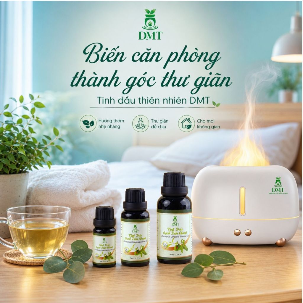 Máy xông tinh dầu hơi nước phòng ngủ, Máy khuếch tán tinh dầu decor phòng khách radio DMT