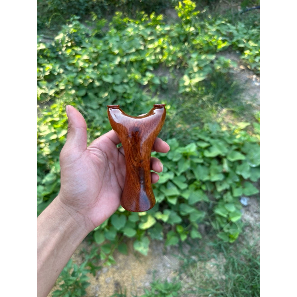 Ná gỗ hương ta