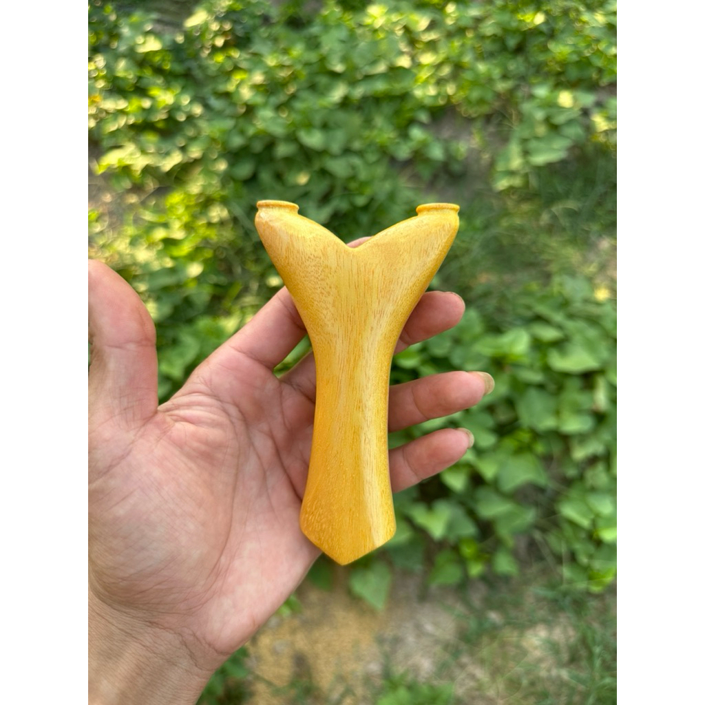 Ná gỗ Mít rừng