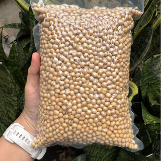Đậu nành hữu cơ thuần chủng quê