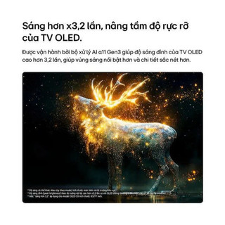 Smart Tivi OLED evo C6 LG AI 4K OLED55C6PSA/OLED65C5PSA- Bảo hành chính hãng 3 năm
