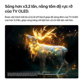 Smart Tivi OLED evo C6 LG AI 4K OLED55C6PSA/OLED65C5PSA- Bảo hành chính hãng 3 năm