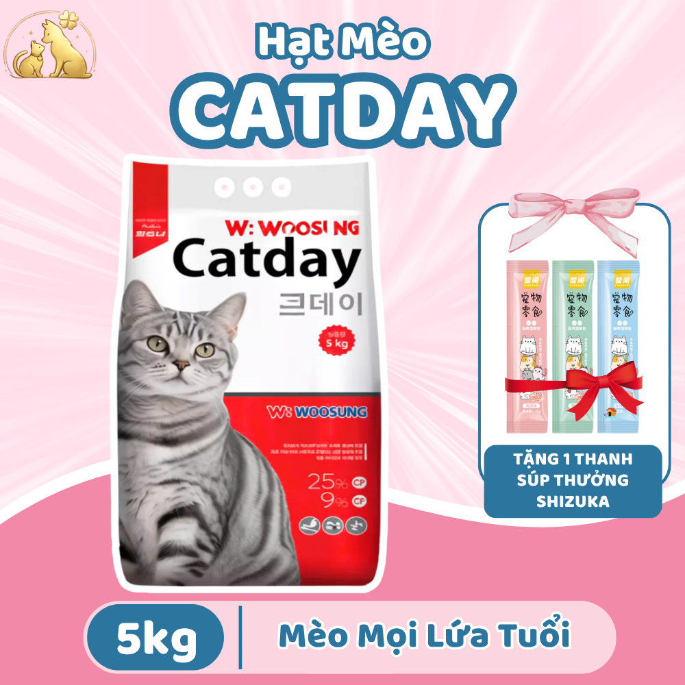 [Túi Seal 5KG] Hạt Dinh Dưỡng Cho Mèo CATDAY - Hồng Sâm Tăng Đề Kháng, Yucca Hạn Chế Hôi Phân