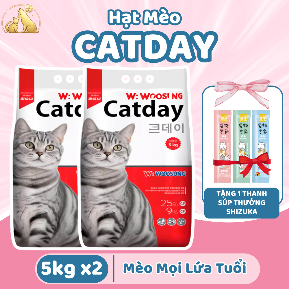 [Combo 2 Gói 5KG] Hạt Dinh Dưỡng Cho Mèo CATDAY - Hồng Sâm Tăng Đề Kháng, Yucca Hạn Chế Hôi Phân