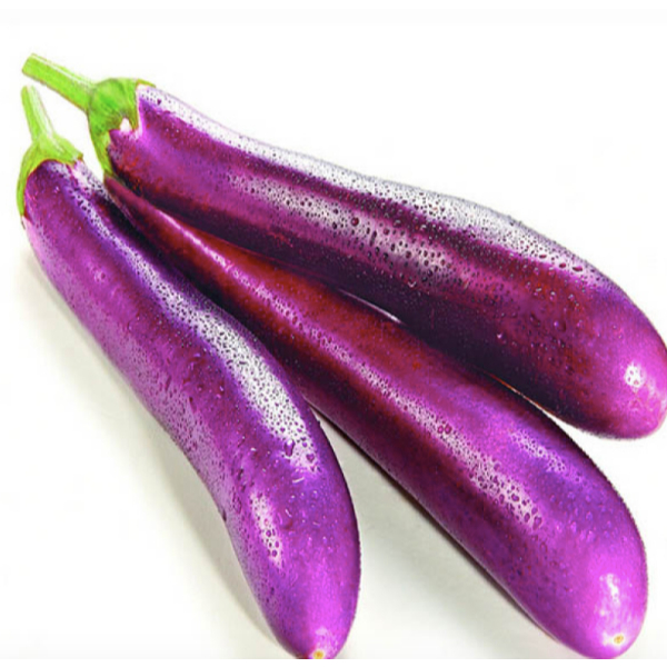 Hạt giống cà tím dài siêu -EGGPLANT SEEDS-200viên