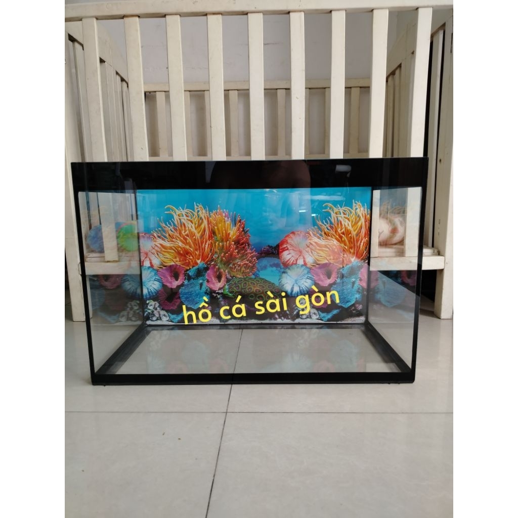Hồ cá, bể kính, bể cá kích thước 60x40x40 (dài x rộng x cao)