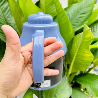 Bình trà giữ nhiệt 1 lít Rạng Đông RD 1055 ( tím than)
