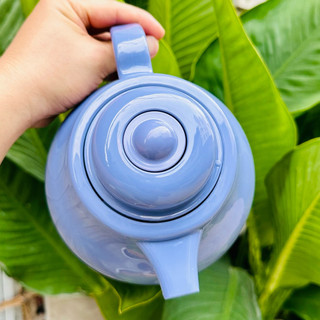 Bình trà giữ nhiệt 1 lít Rạng Đông RD 1055 ( tím than)