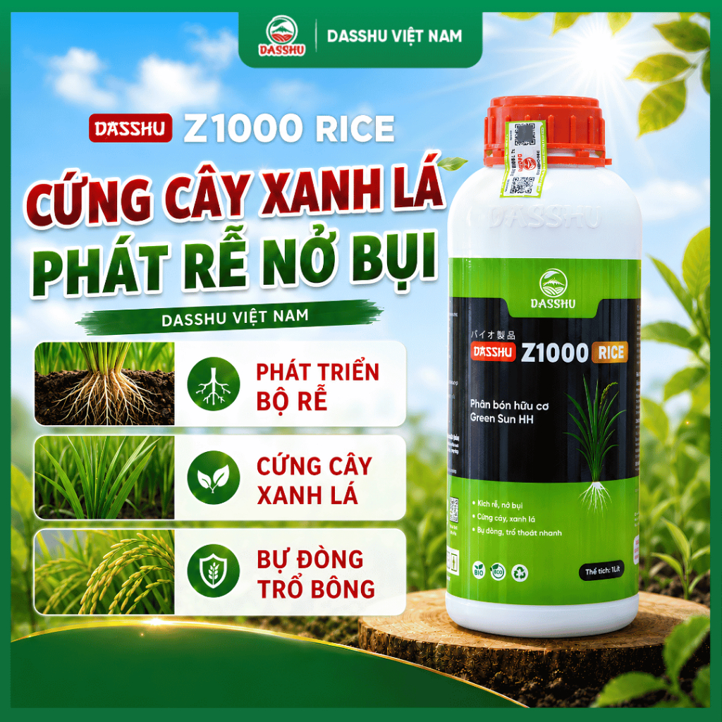 DASSHU Z1000 RICE - Phân Bón Lúa Hữu Cơ, Hỗ Trợ Phát Triển Hệ Rễ, Dưỡng Rễ, Nuôi Hạt