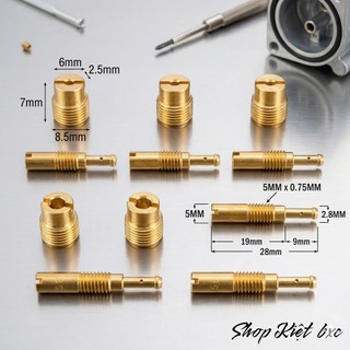 BÌNH XĂNG CON: 10 GICLO CHÍNH PHỤ CENTA (RĂNG LỚN)