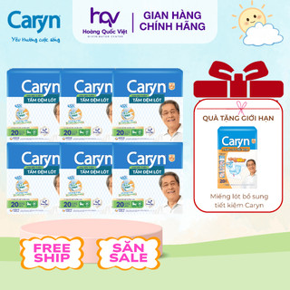 Combo 6 Tấm Lót Caryn Size L20 XL14 Siêu Thấm Khử Mùi Giường Chống Trào Cho Người Già Không Đi Lại Được