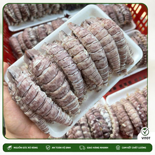 Bề Bề Bóc Nõn Thịt VITOT Thơm Mềm Ngọt Thịt, Chất Lượng, Tiện Lợi