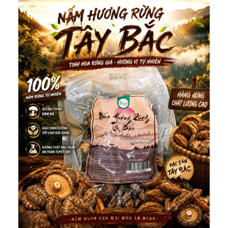 Nấm Hương Rừng Xiên Que Sấy Khô Tây Bắc - Hàng Ngon Loại 1