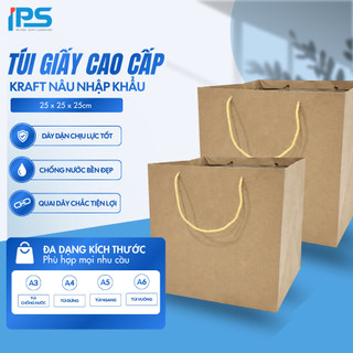 Túi giấy IPS TG10N 25 x 25 x 25cm, Kraft nâu nhập khẩu, túi vuông chắc chắn, dây nâu, đựng đồ 3kg